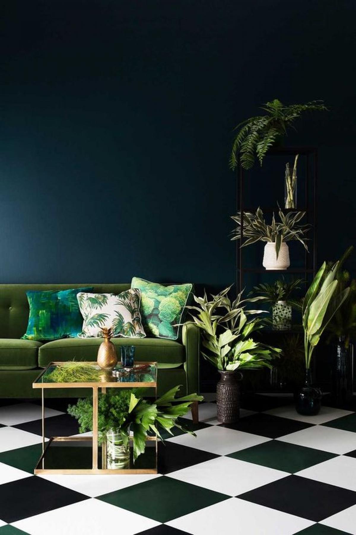 Un intérieur foncé et tropical
