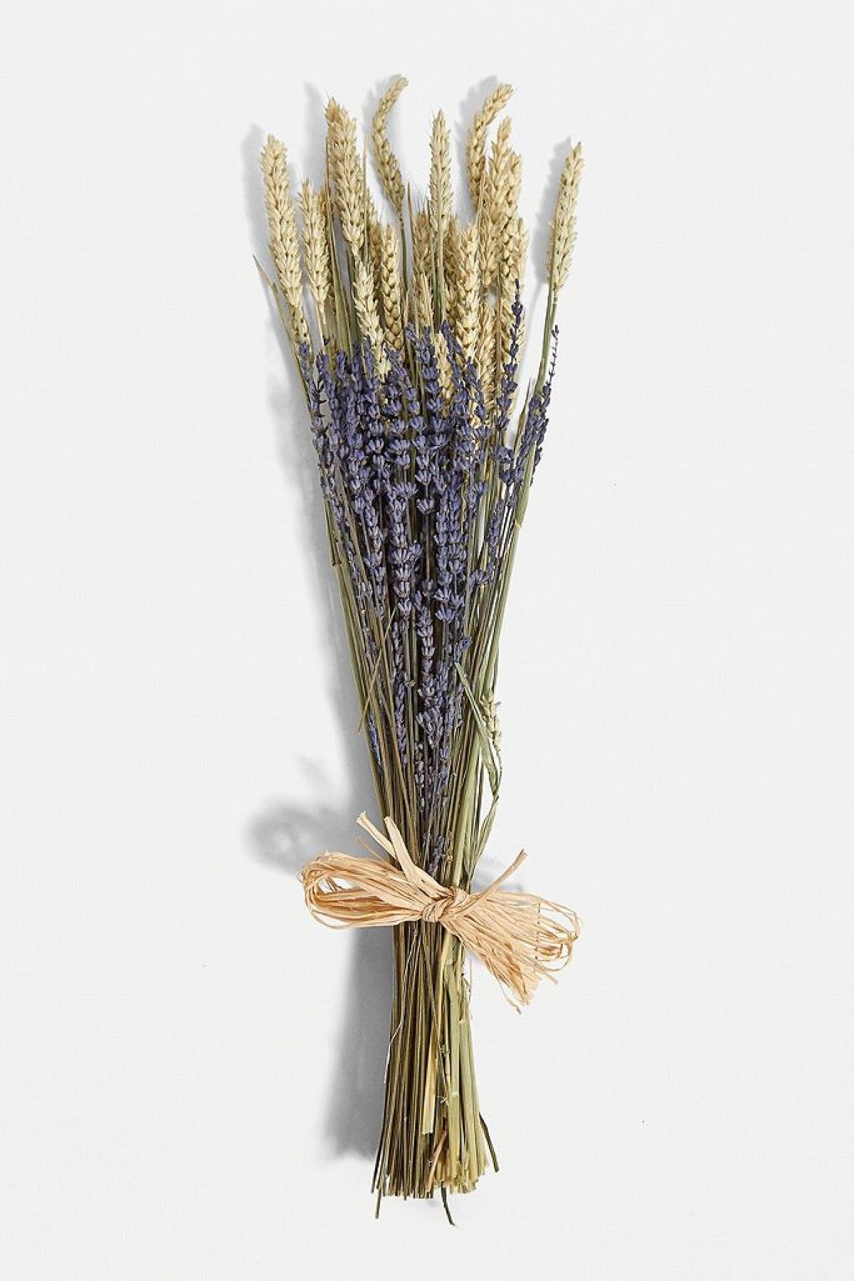 Bouquet de lavande séchée