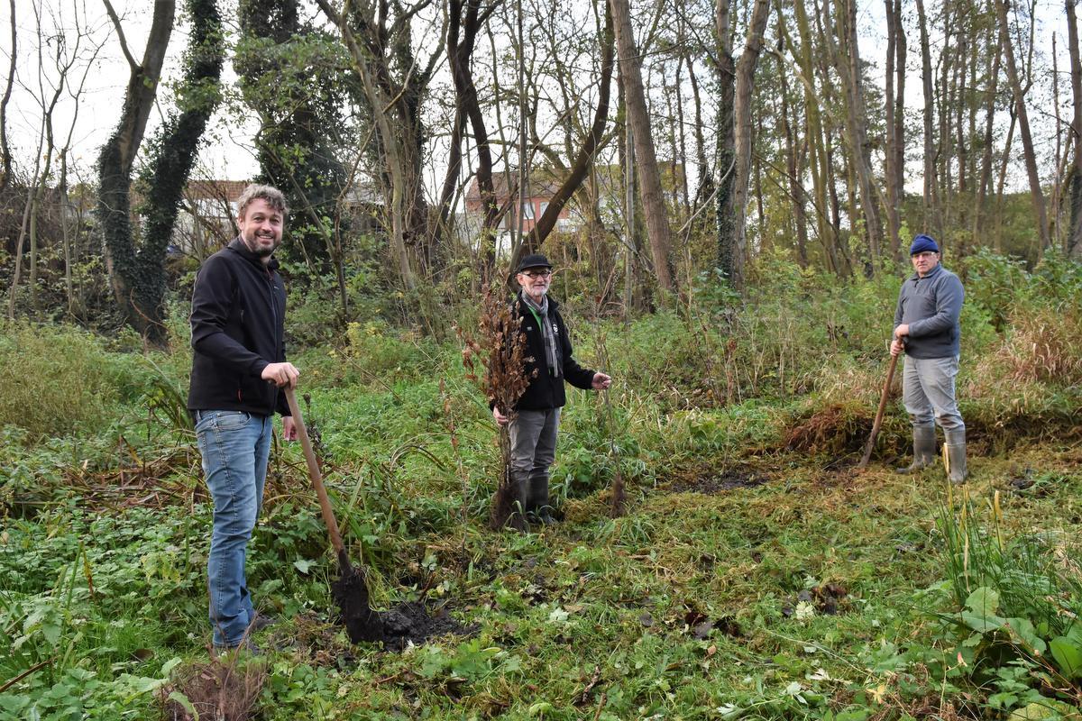 Tijs Naert, Stef Boone en Frank Berth bij het aanplanten van jonge bomen in wijk Koeksen.©LUDO-OSTIJN LOO