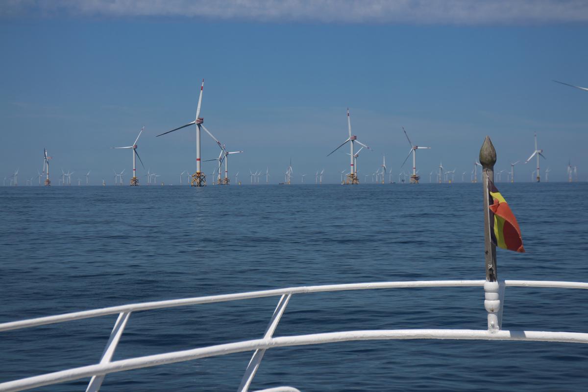 Hebben de Russen een ongezonde interesse voor onze windmolenparken? Kamerleden Wouter De Vriendt en Jasper Pillen vroegen meer uitleg aan minister van Defensie Ludivine Dedonder.© HH