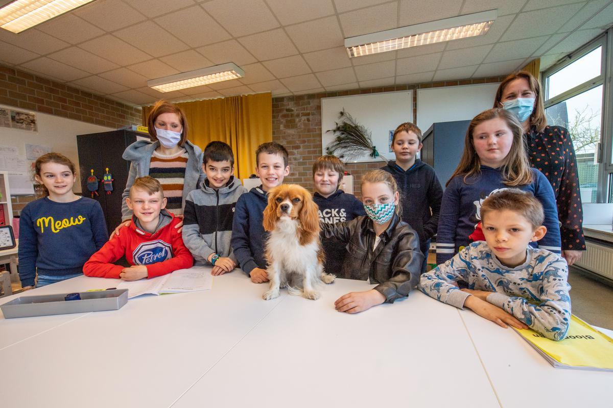 Juf Annelies Lafaut (rechts) in haar klasje De Pauwen met achteraan links directrice Lynn Moyaert. Centraal schoolhond Baziel, de grote vriend van alle kinderen.©Frank Meurisse Frank Meurisse