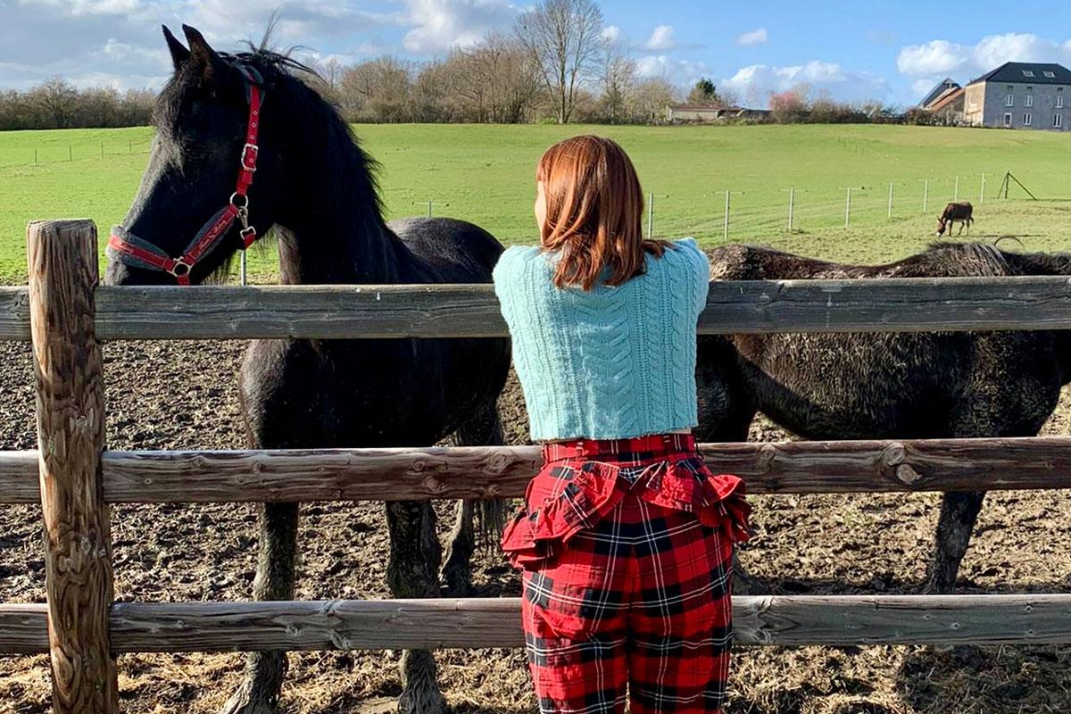 Even kennismaken met de paarden van de B&B.