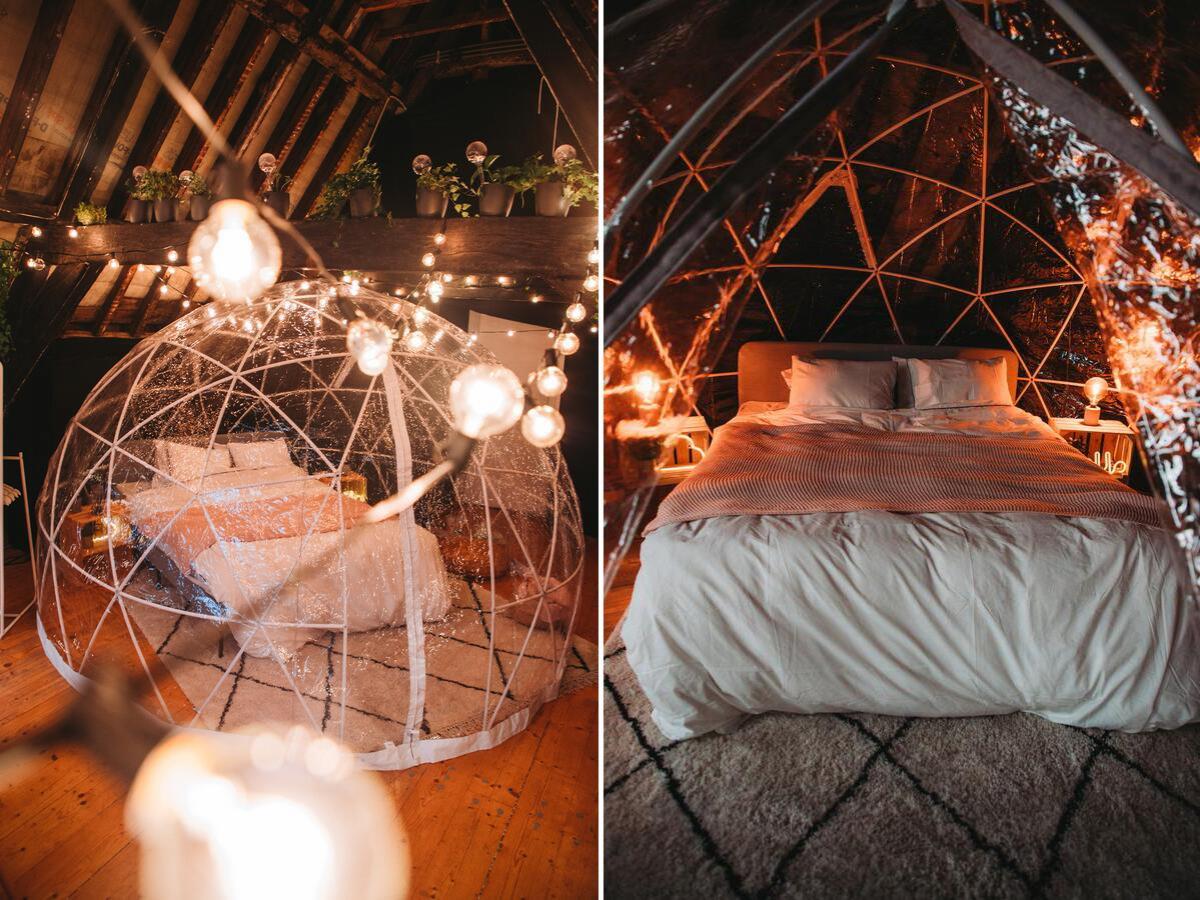 Cocoon