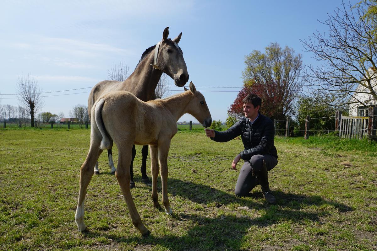 Ook zijn vrije tijd brengt Thibaud het liefst door met zijn paarden.© MM
