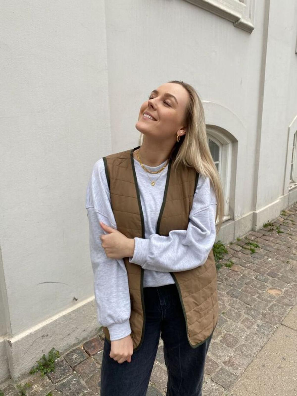 Bruine vest