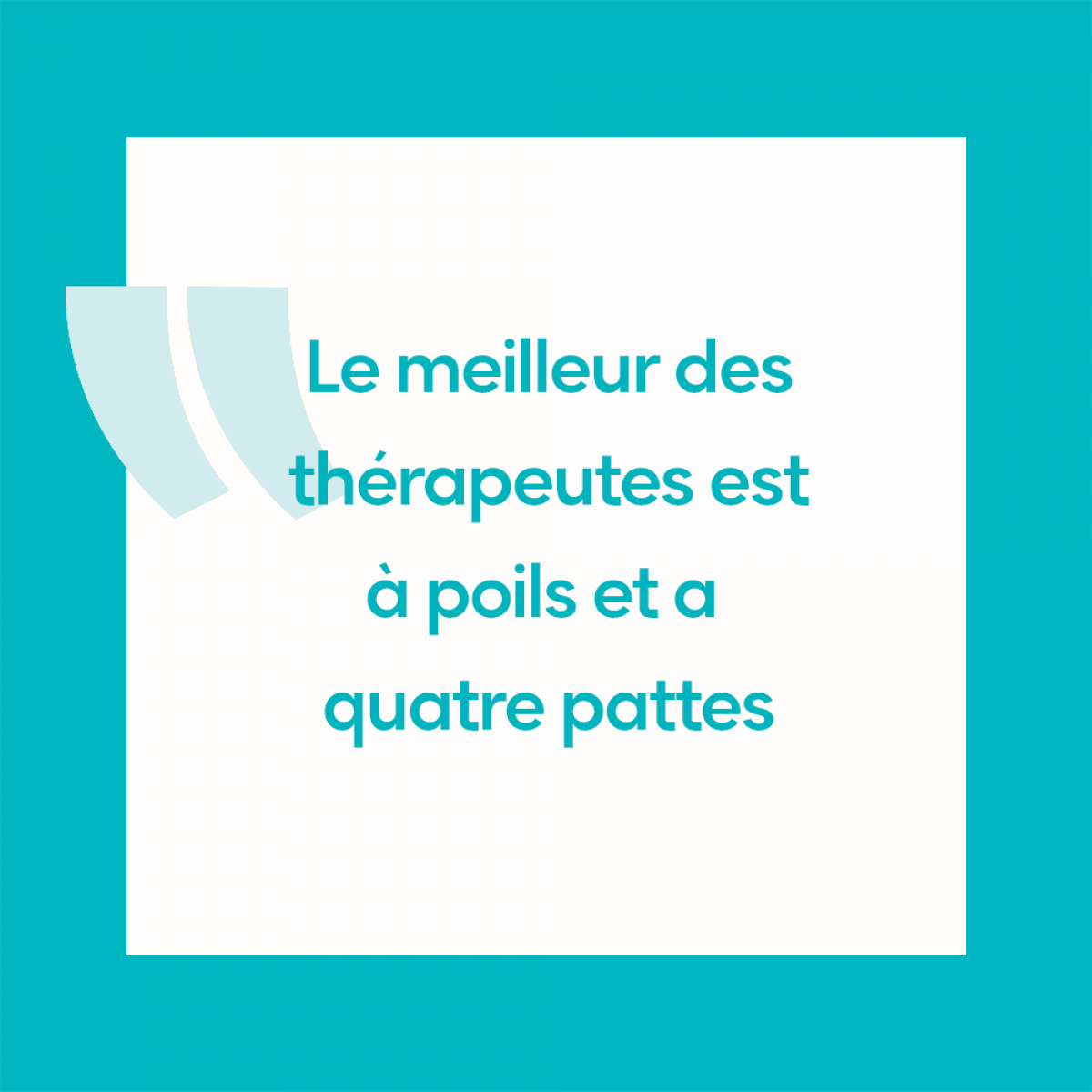 12 Citations Qui Parleront Aux Amoureux Des Animaux 12 Citations Qui Parleront Aux Amoureux Des Animaux