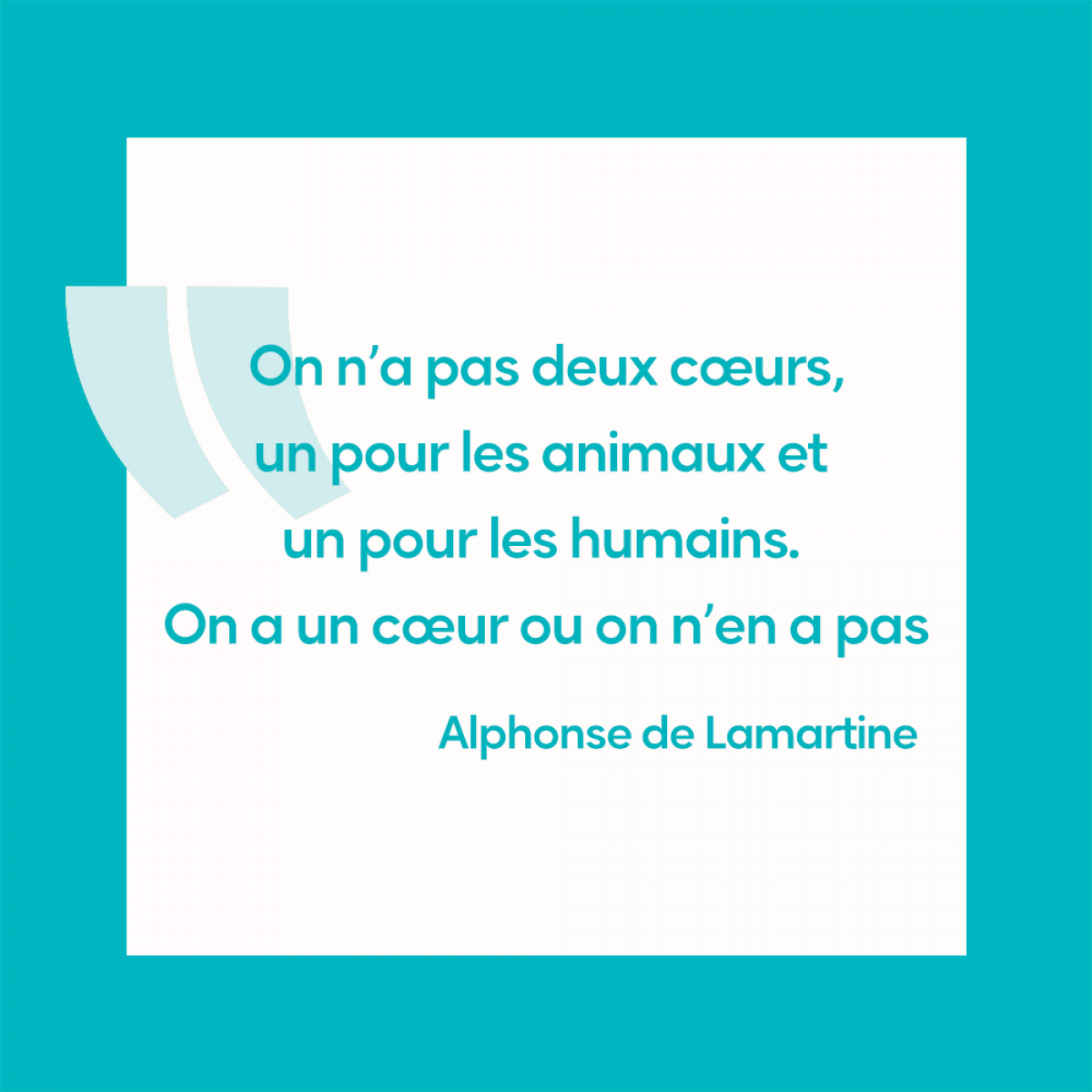 12 Citations Qui Parleront Aux Amoureux Des Animaux