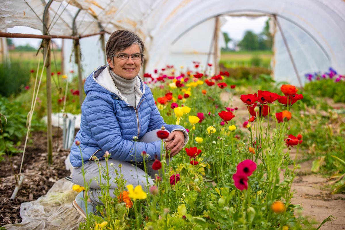 Martine Opsomer in de bloemenpluktuin in de belevingsboerderij Herenthoeve, gelegen langs de Flower Power-route.© Foto Kurt