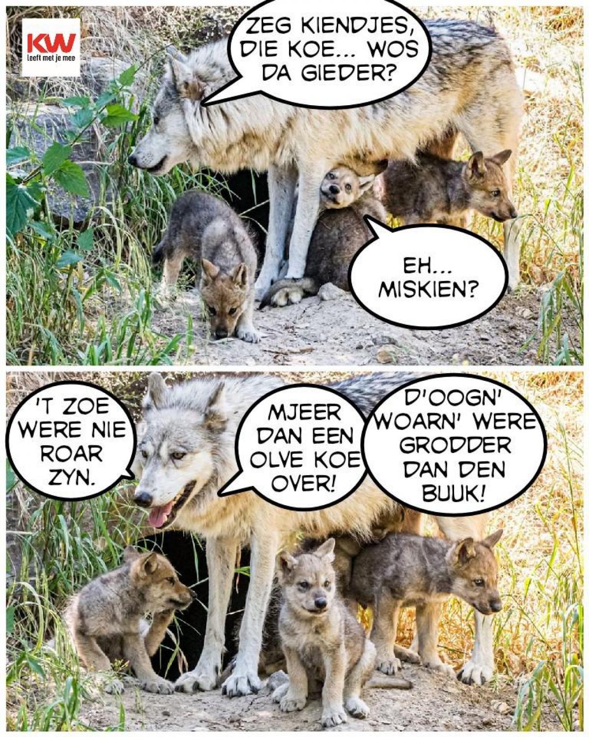 © (Foto FV)