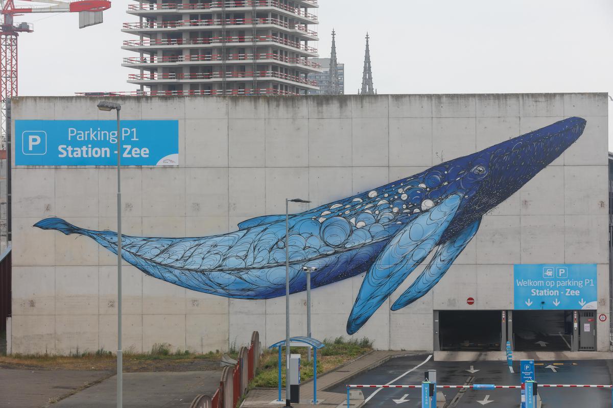 De levensgrote blauwe vinvis van 27 m op de parking van het station is geïnspireerd op de ‘koninklijke walvis van Oostende’, die in 1827 liefst 8.000 mensen naar de badstad lokte. Bijna 200 jaar later zullen dat er ongetwijfeld veel meer zijn.©Peter MAENHOUDT