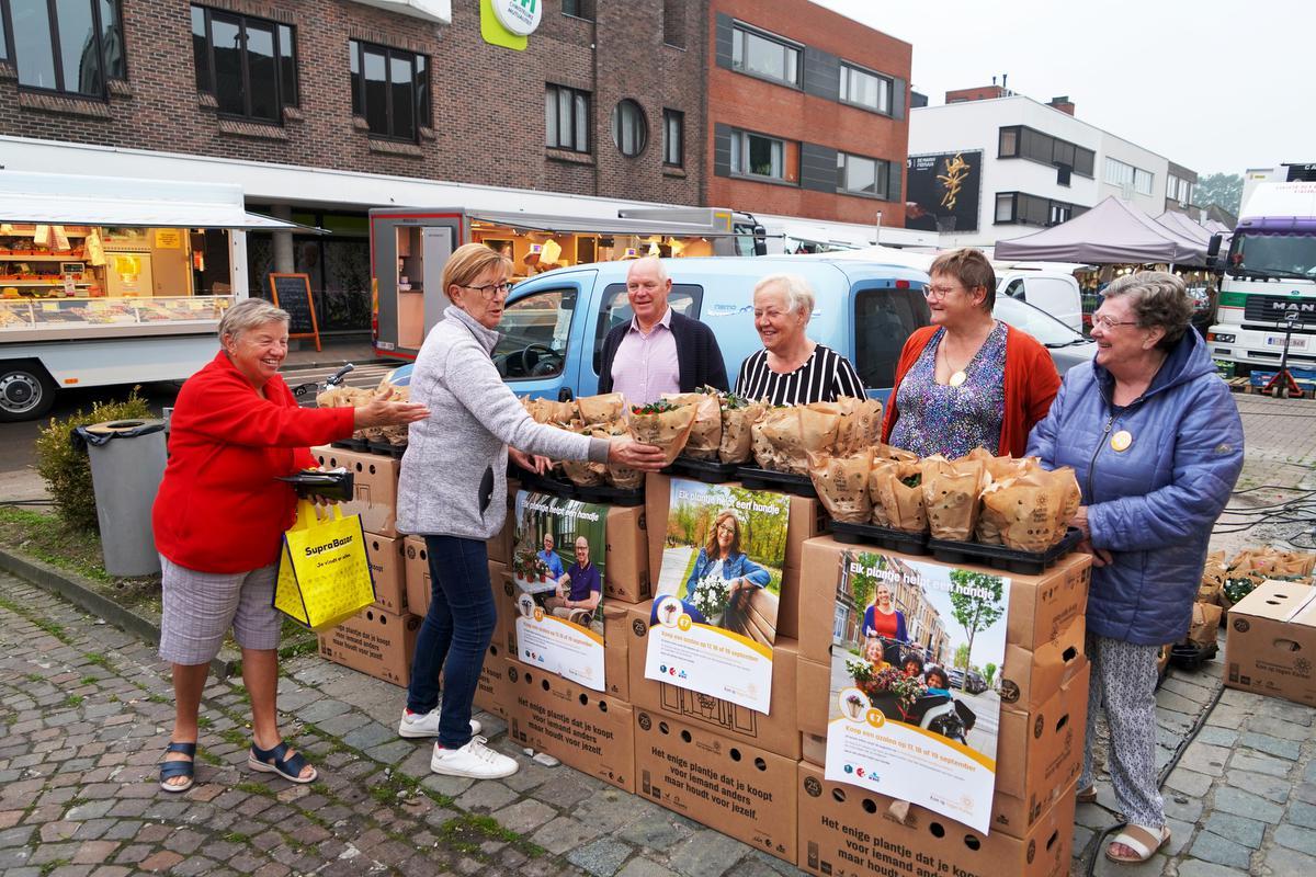 Gezinsraad Verkoopt Azalea's Ten Voordele Van Kom Op Tegen Kanker - KW.be