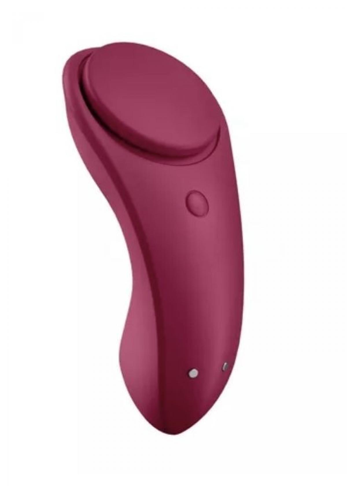 Secret Panty Vibrator
