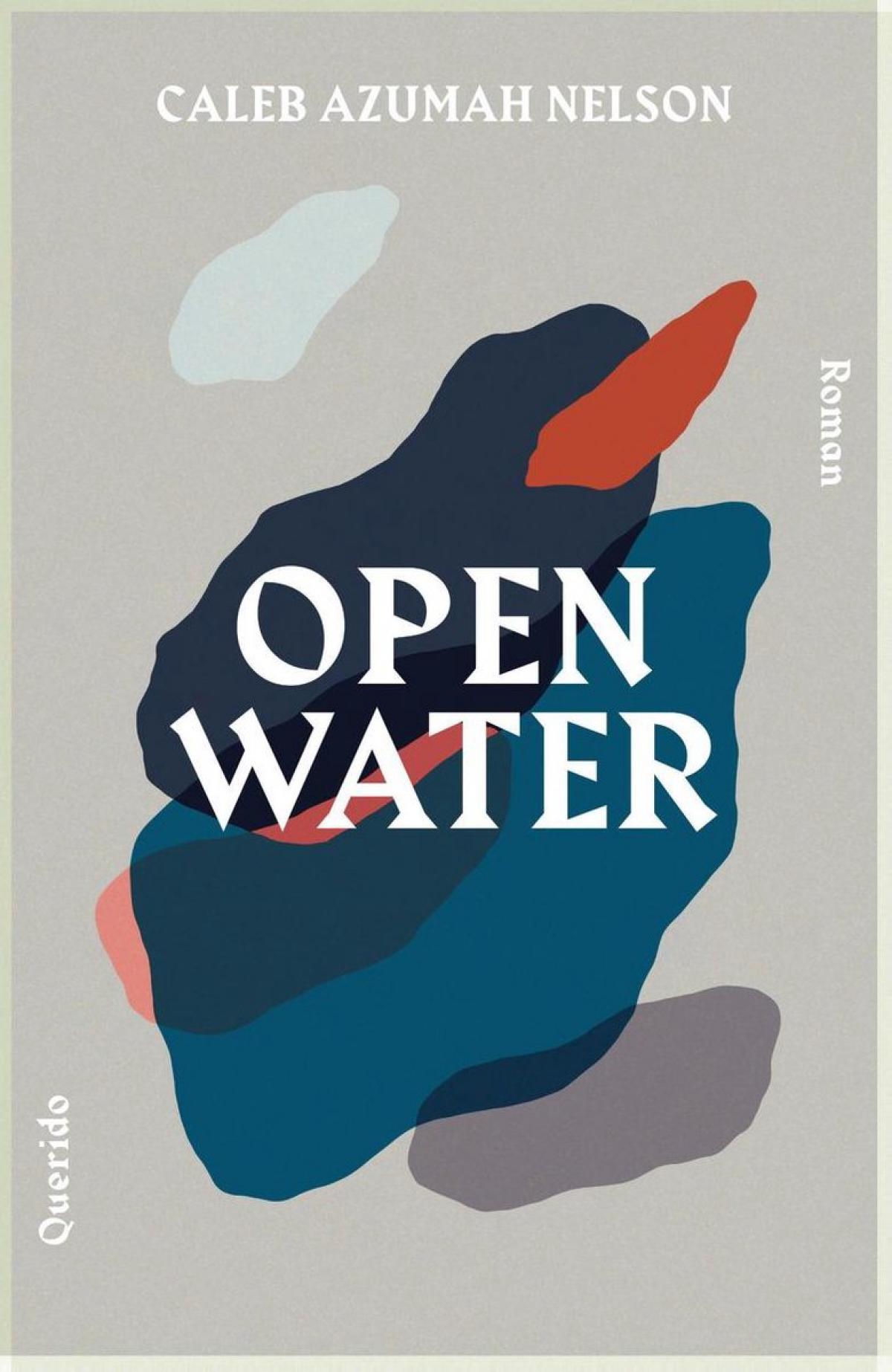 Open Water - Caleb Azumah Nelson