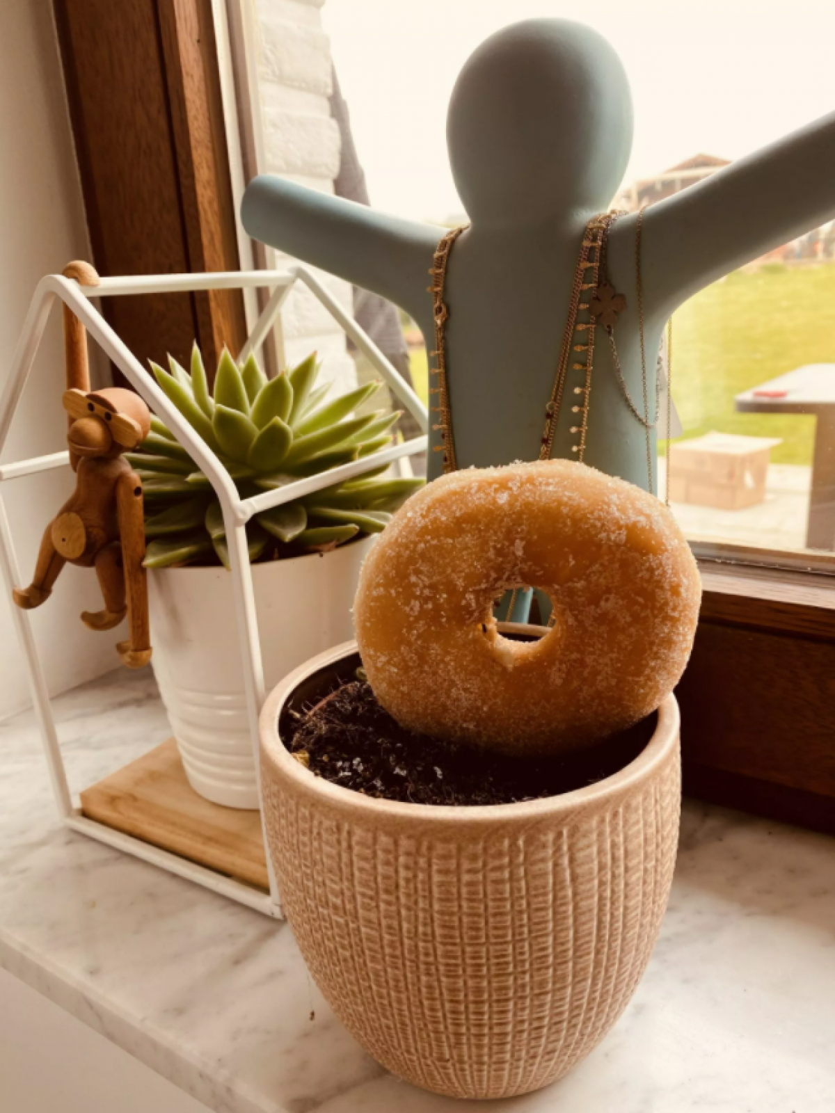 Plantez des donuts