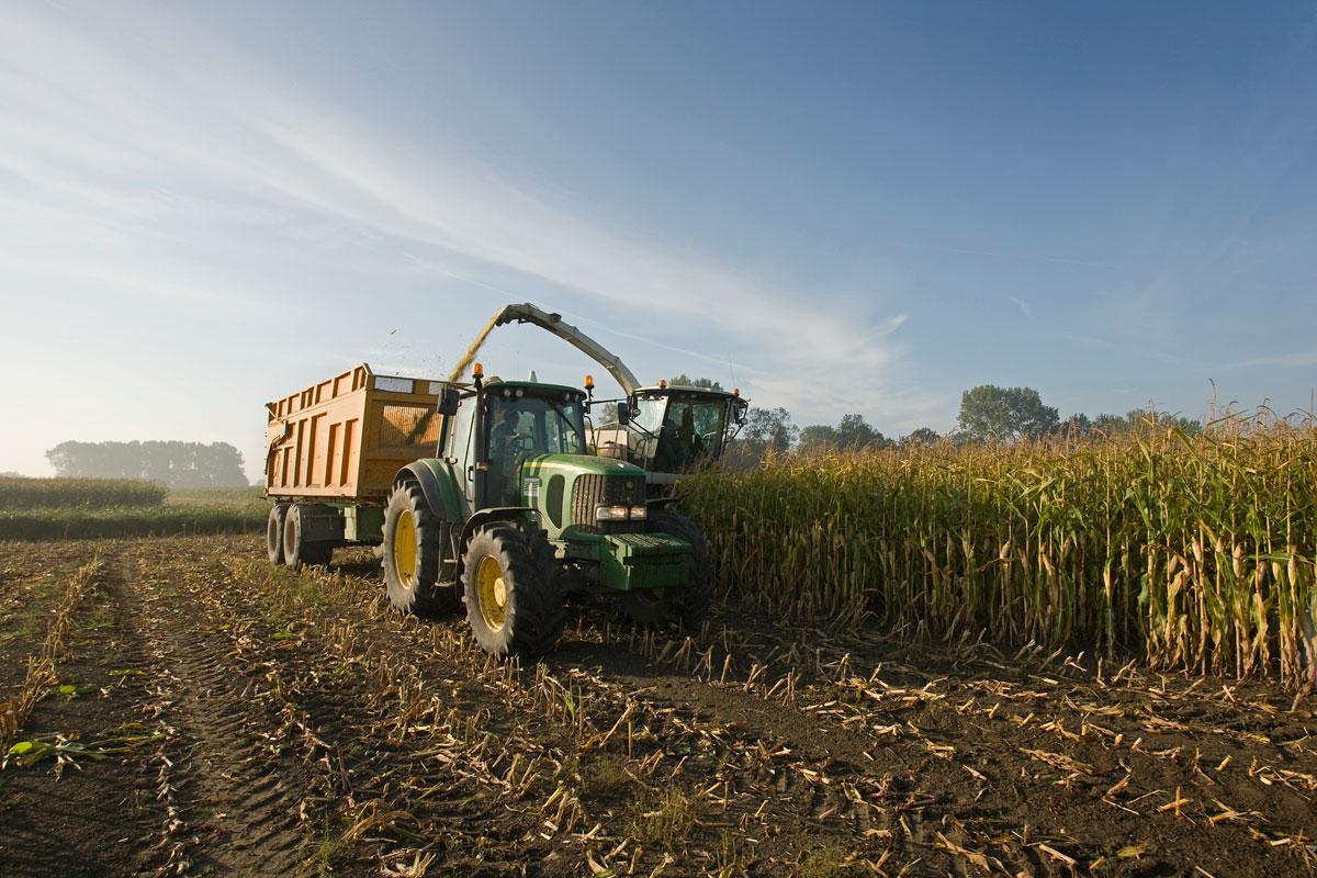 ‘De kloof tussen boeren en groene consumenten blijkt minder groot dan we soms denken’