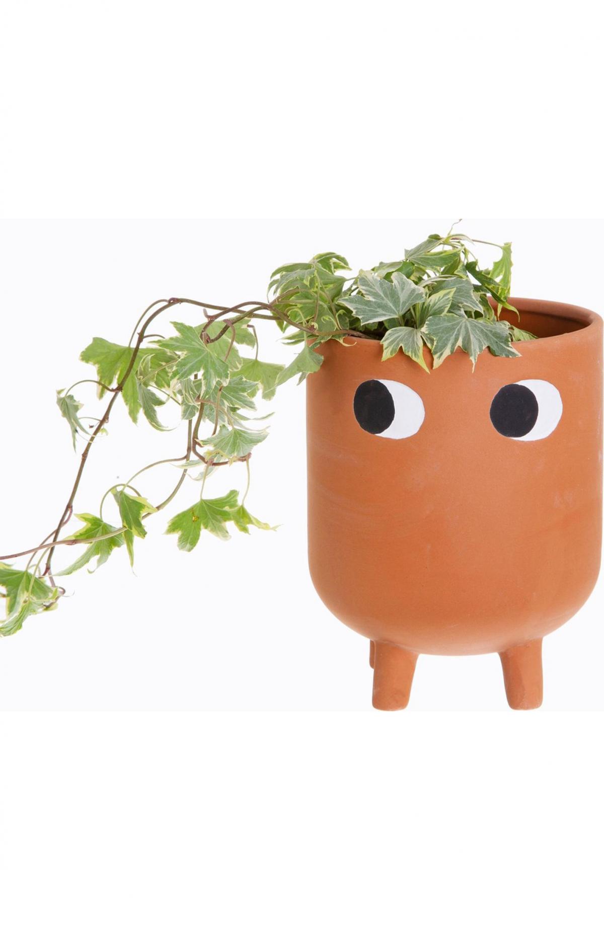 Sierpot op poten met oogjes