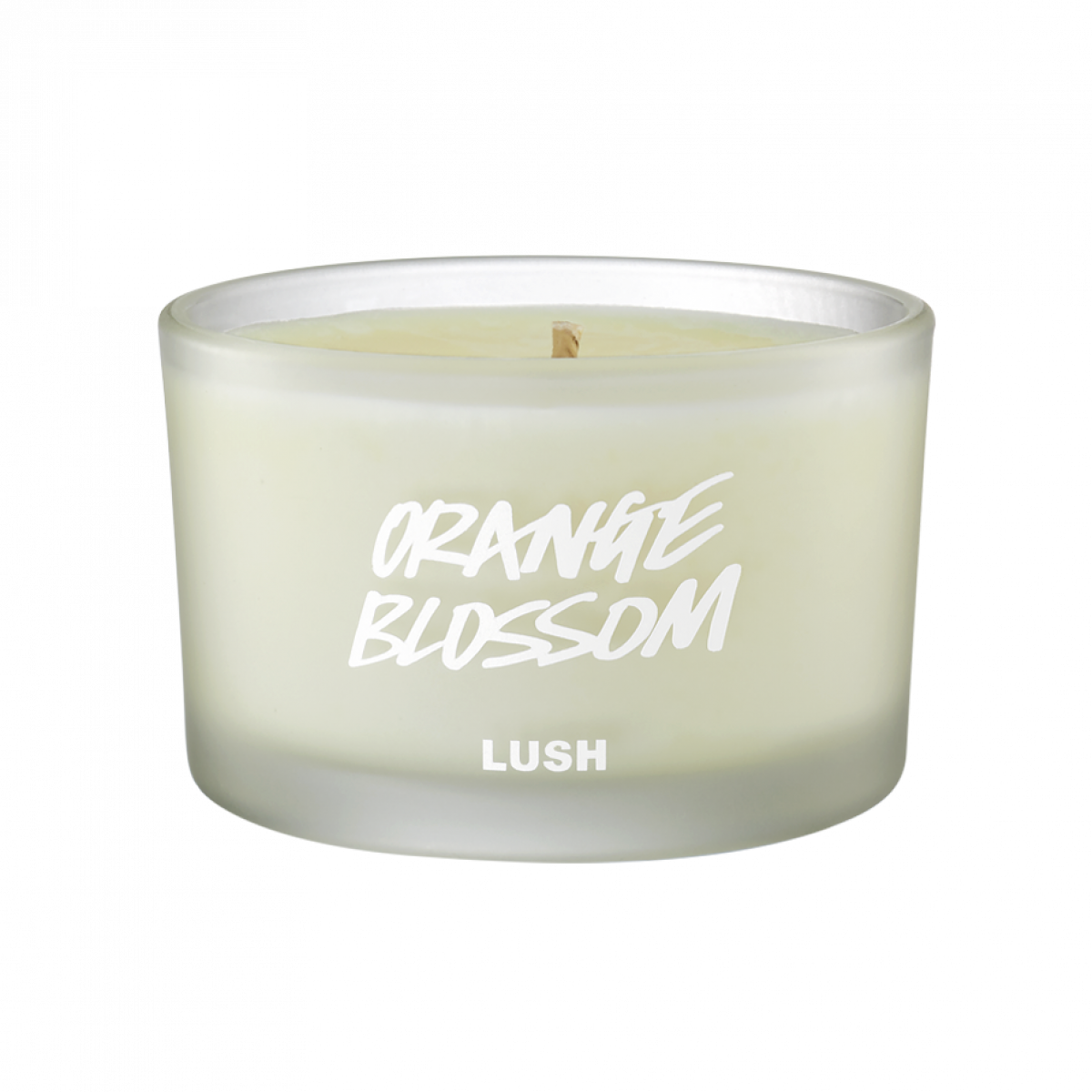Orange Blossom