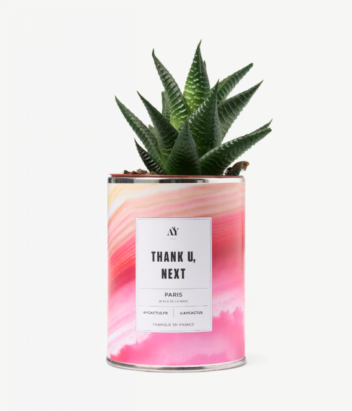 Cactusplant in blik met opschrift 'Thank U, Next'