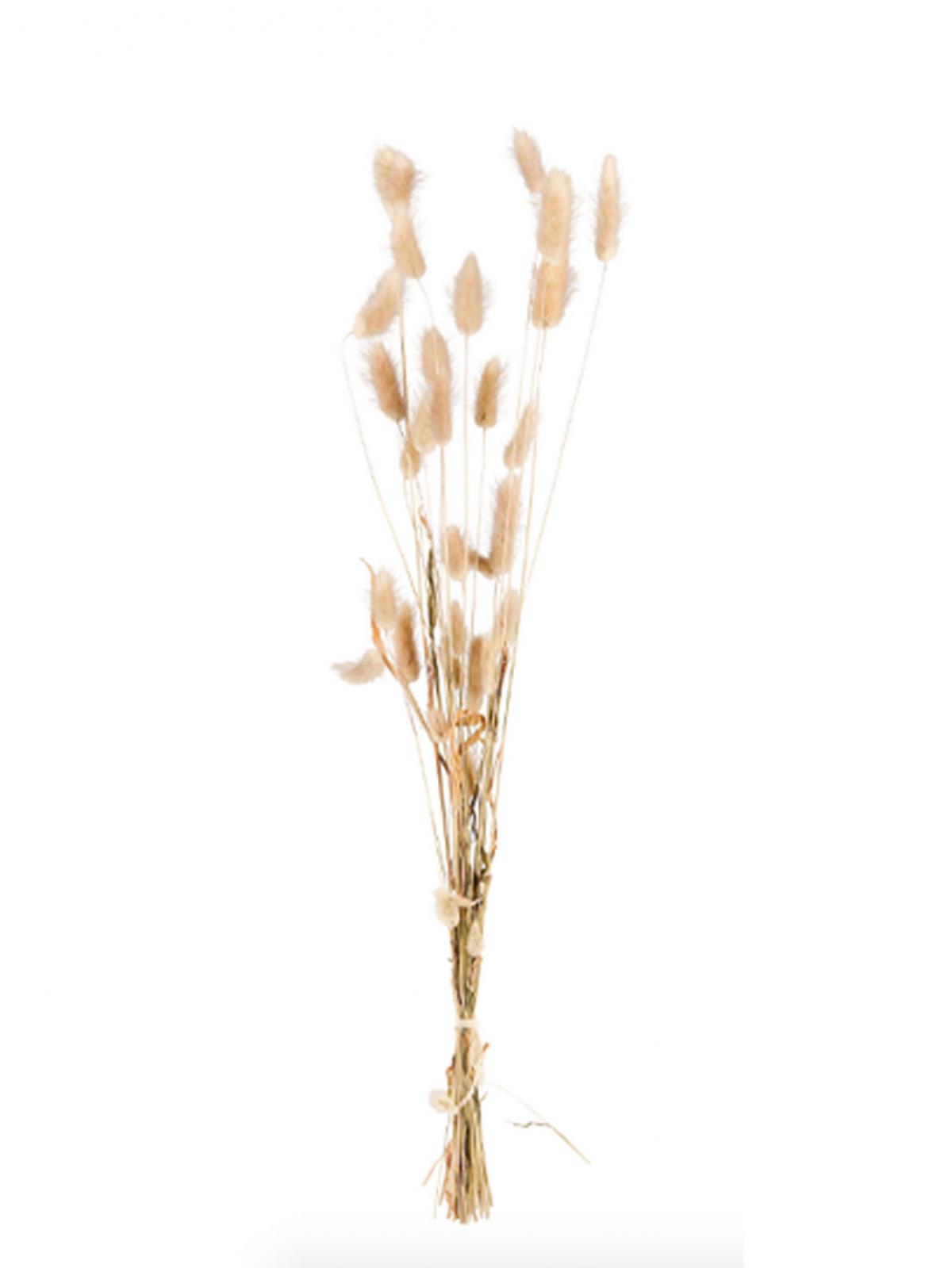 5. Nóg meer droogbloemen en -grassen