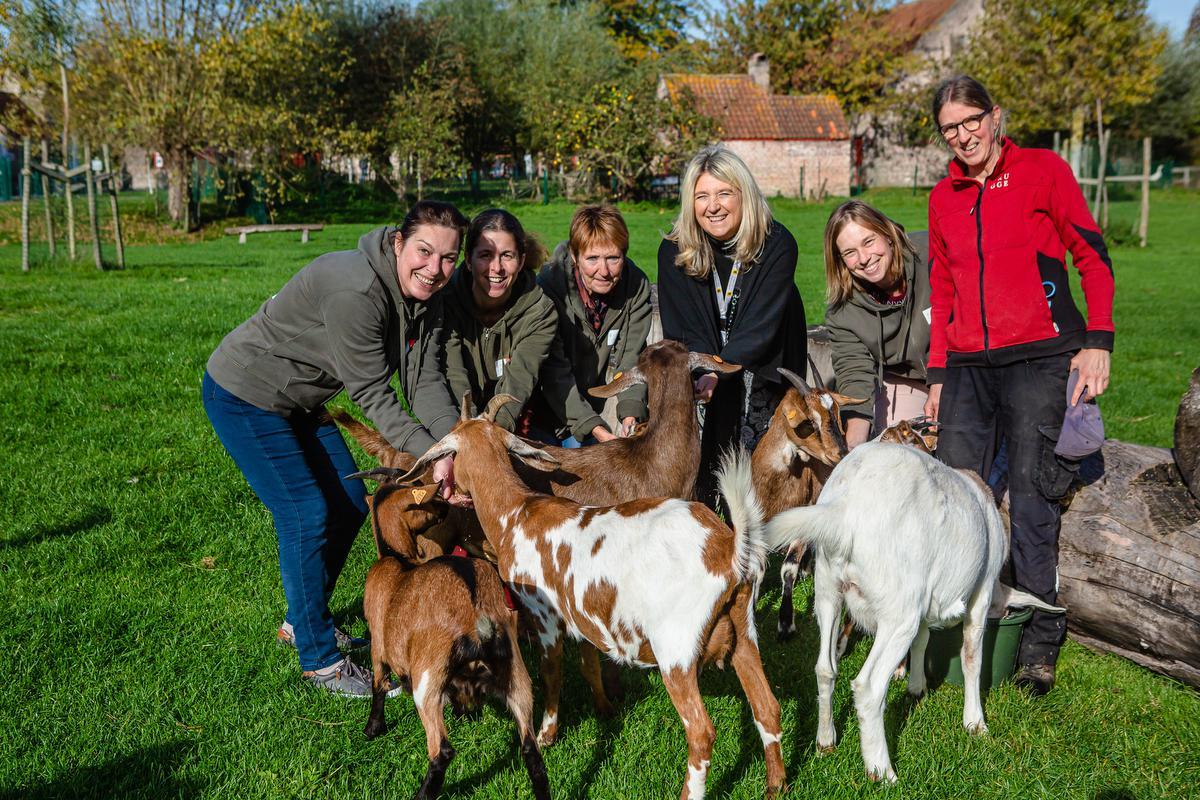 Assebroekse Kinderboerderij De Zeven Torentjes Blaast Vijftig Kaarsjes ...