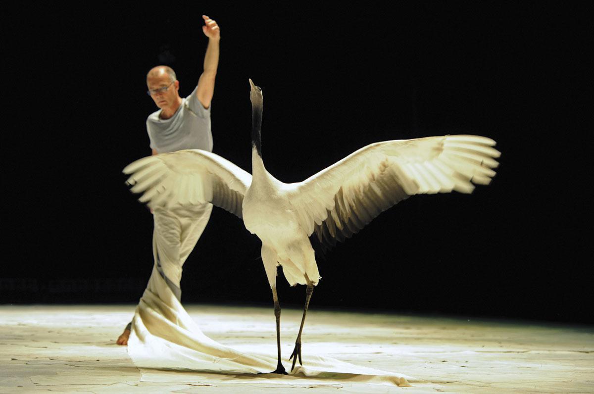 Luc Petton dans son "ballet pour six grues, quatre danseurs".