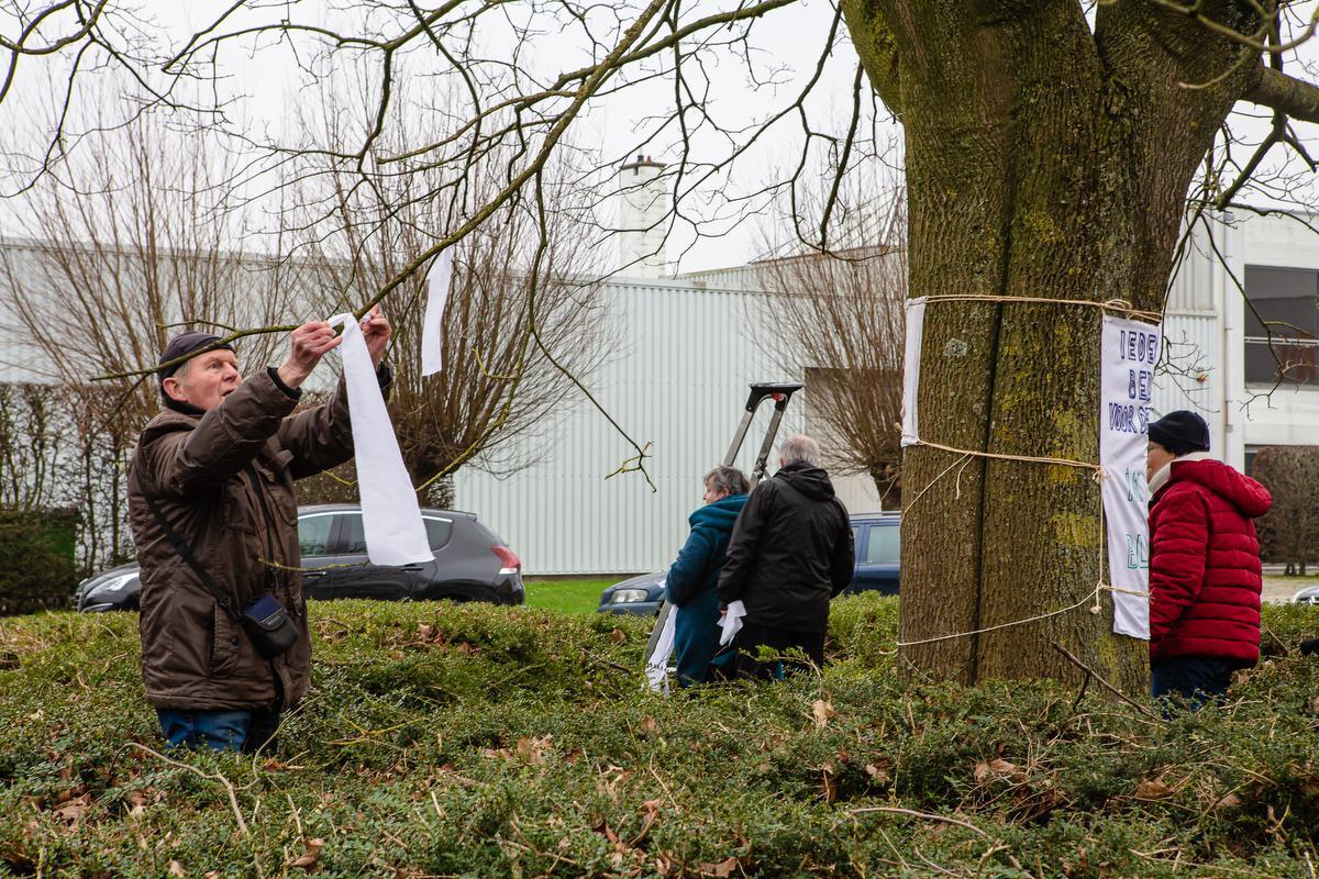 De protesteerders haalden hun slag thuis: de esdoorn mocht blijven.