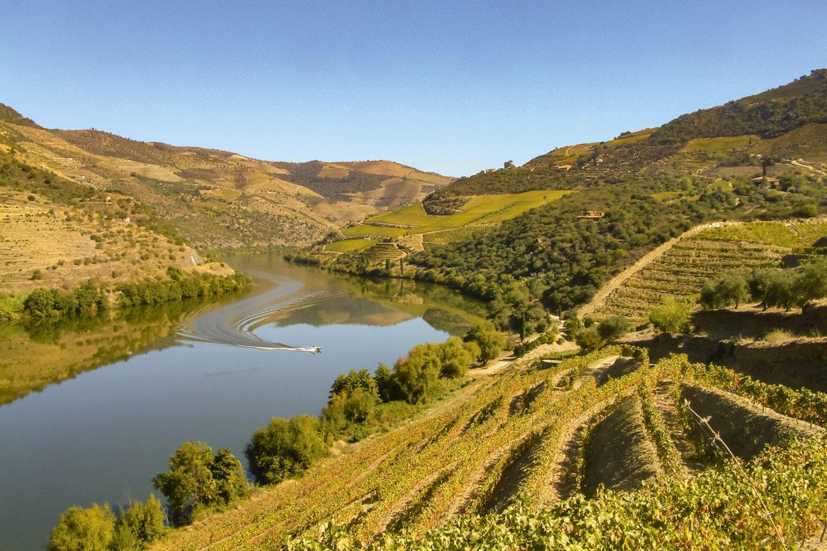 La vallée viticole du Douro.