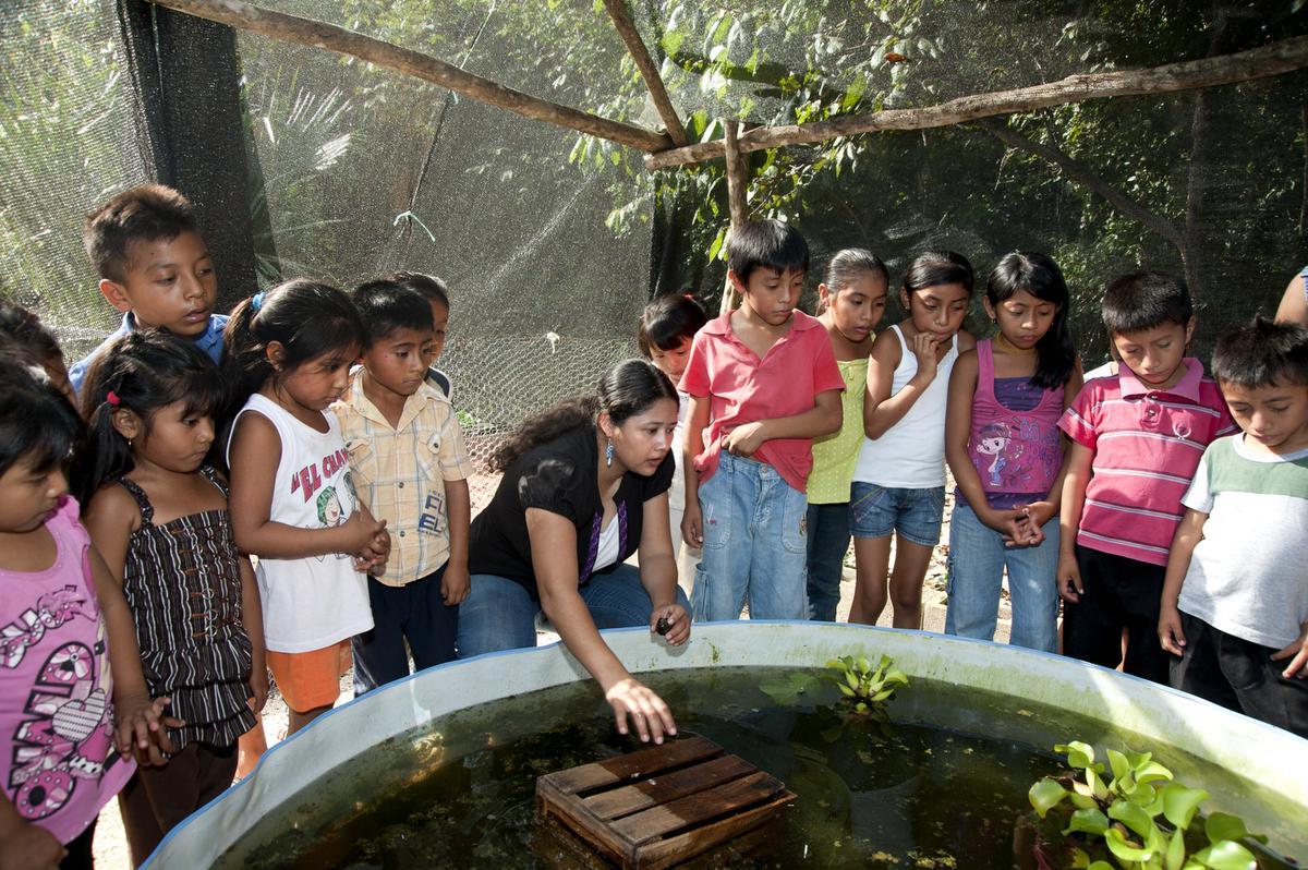 Maritza Morales Casanova a donné à 100 enfants (de 40 familles) une formation sur l’élevage d’escargots.