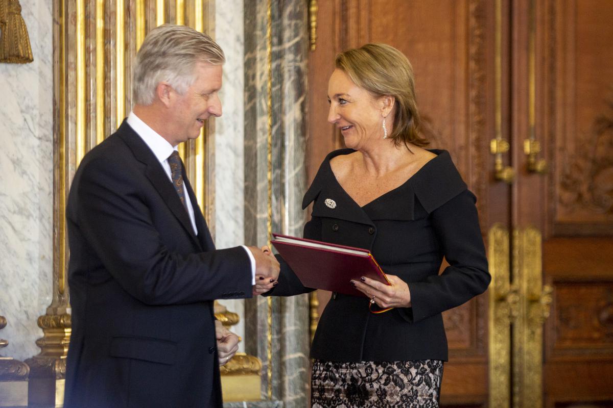 Op 13 december 2018 werd Michèle Sioen op het koninklijk paleis in Brussel door koning Filip ontvangen en kreeg ze uit zijn handen de titel van barones overhandigd.