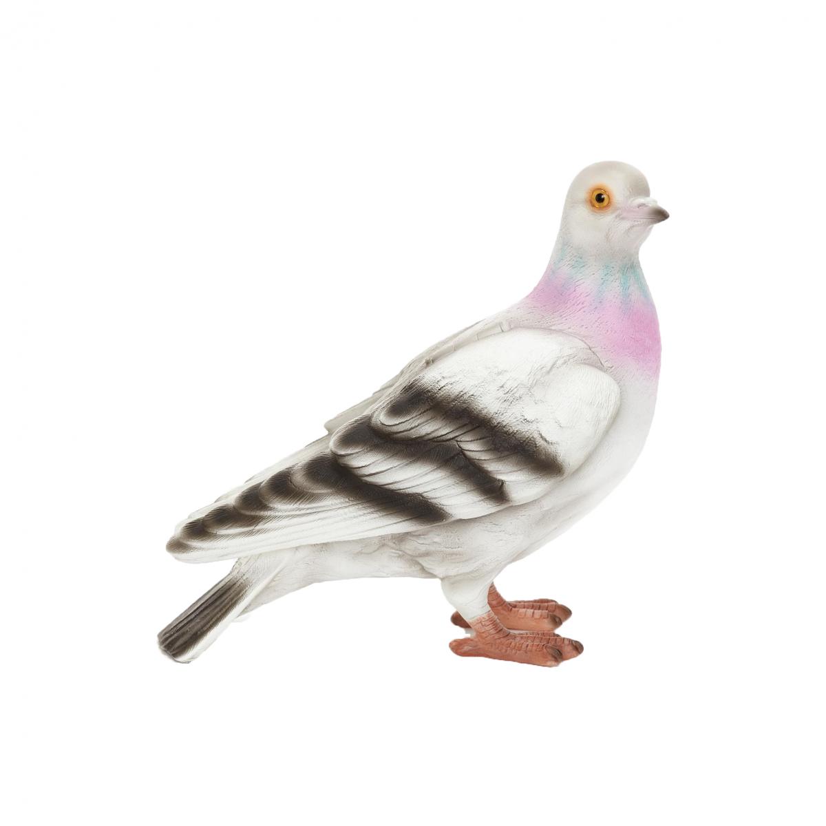De pigeon clutch