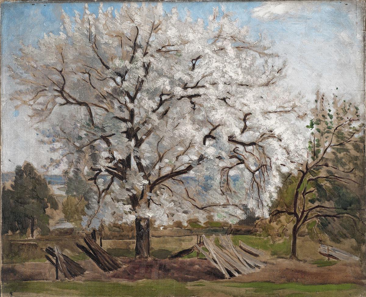Apple Tree Blossom, Carl Fredrik Hill (1877).