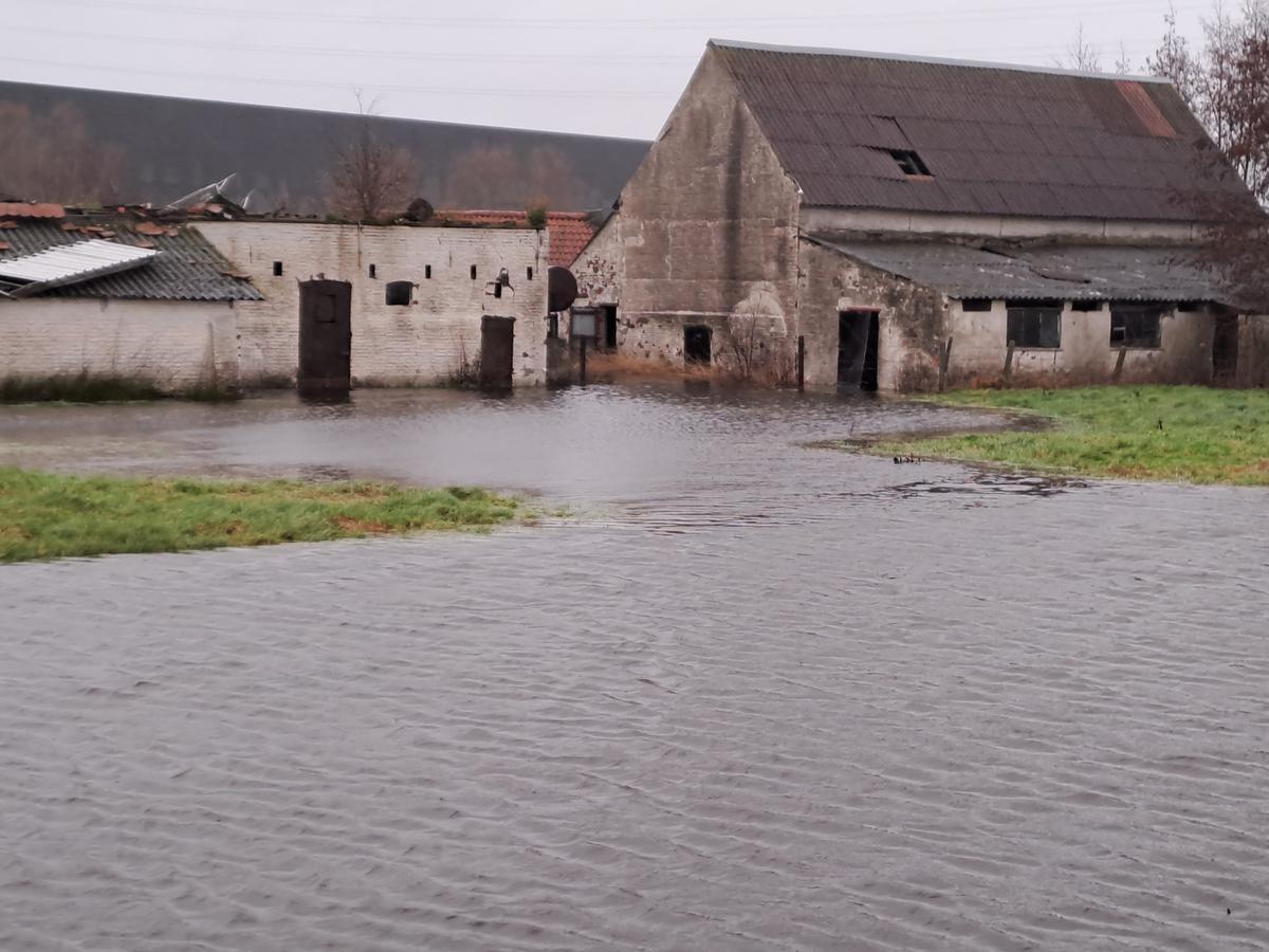 “De potentiële bedrijfslocatie ‘Vijverdam Zuid’ is overstromingsgevoelig gebied”, stelt Anzegemnaar Martin Vanderghinste.
