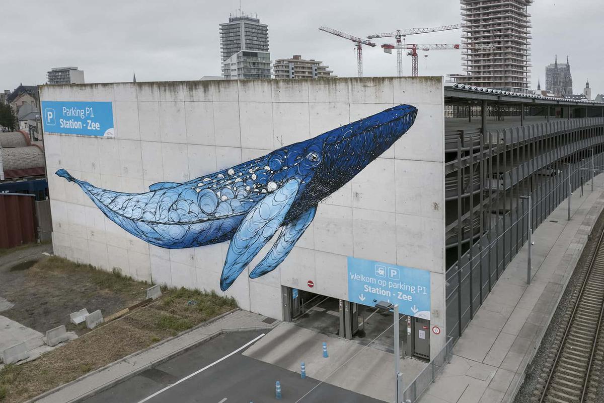 In Oostende maakte hij al een indrukwekkende mural van een vinvis.