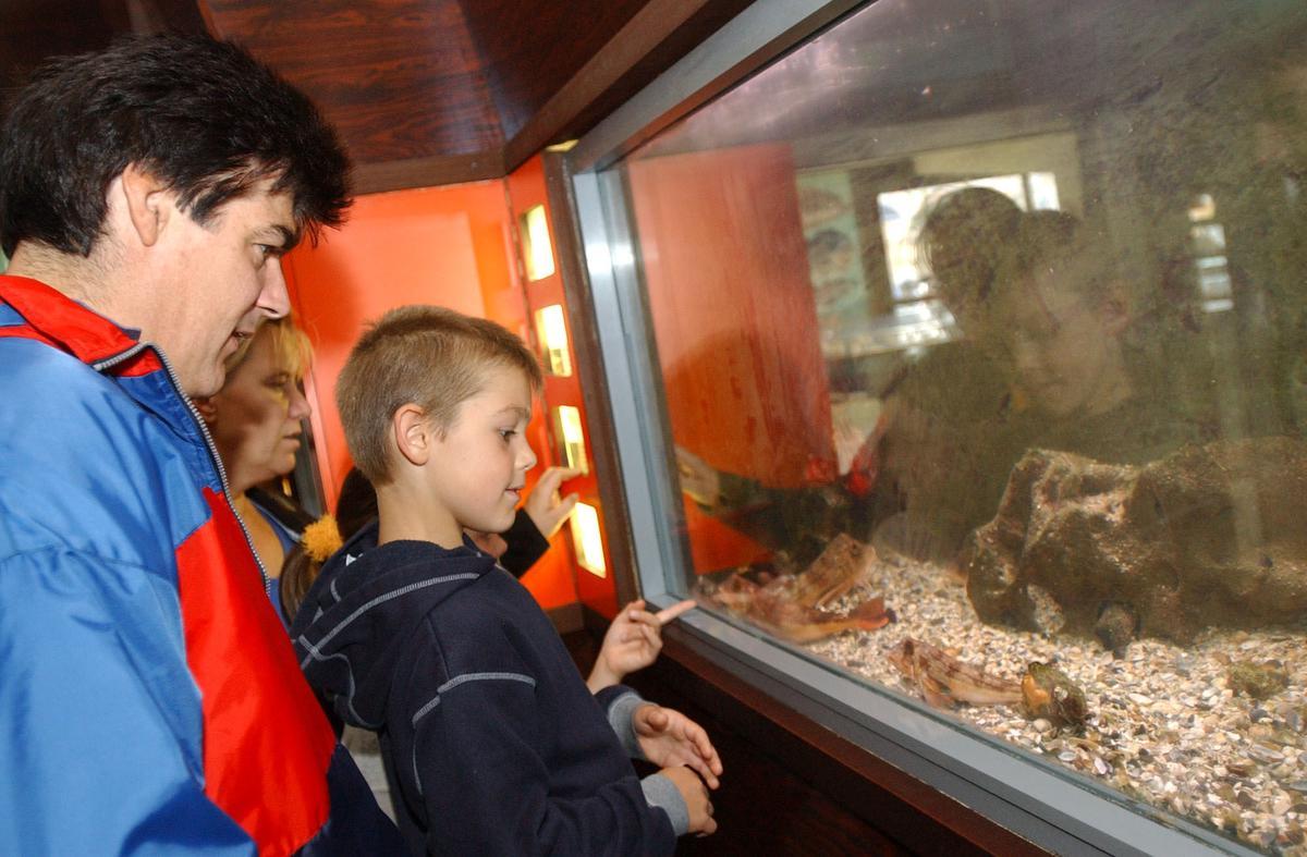 Bij de 25ste verjaardag in 2002 mochten bezoekers gratis het Noordzeeaquarium bezoeken.