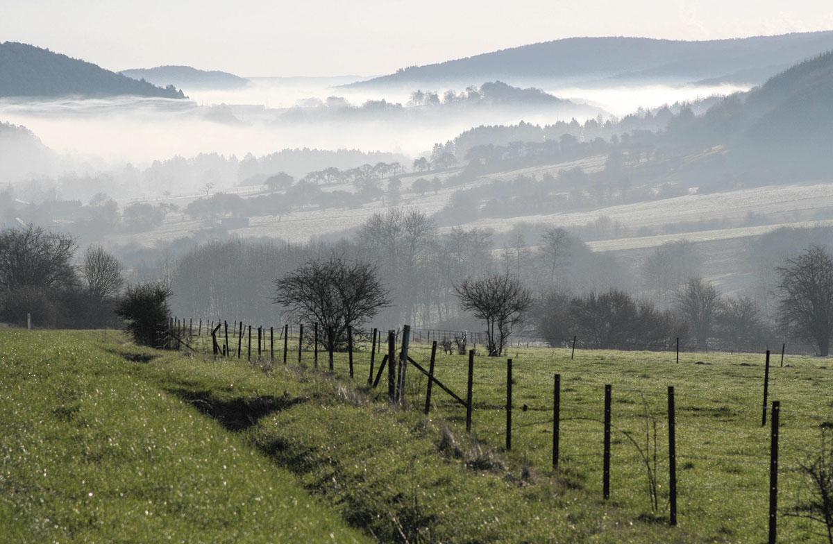 La Région wallonne s’est dotée de deux parcs nationaux, dont celui l’Entre-Sambre-et-Meuse.