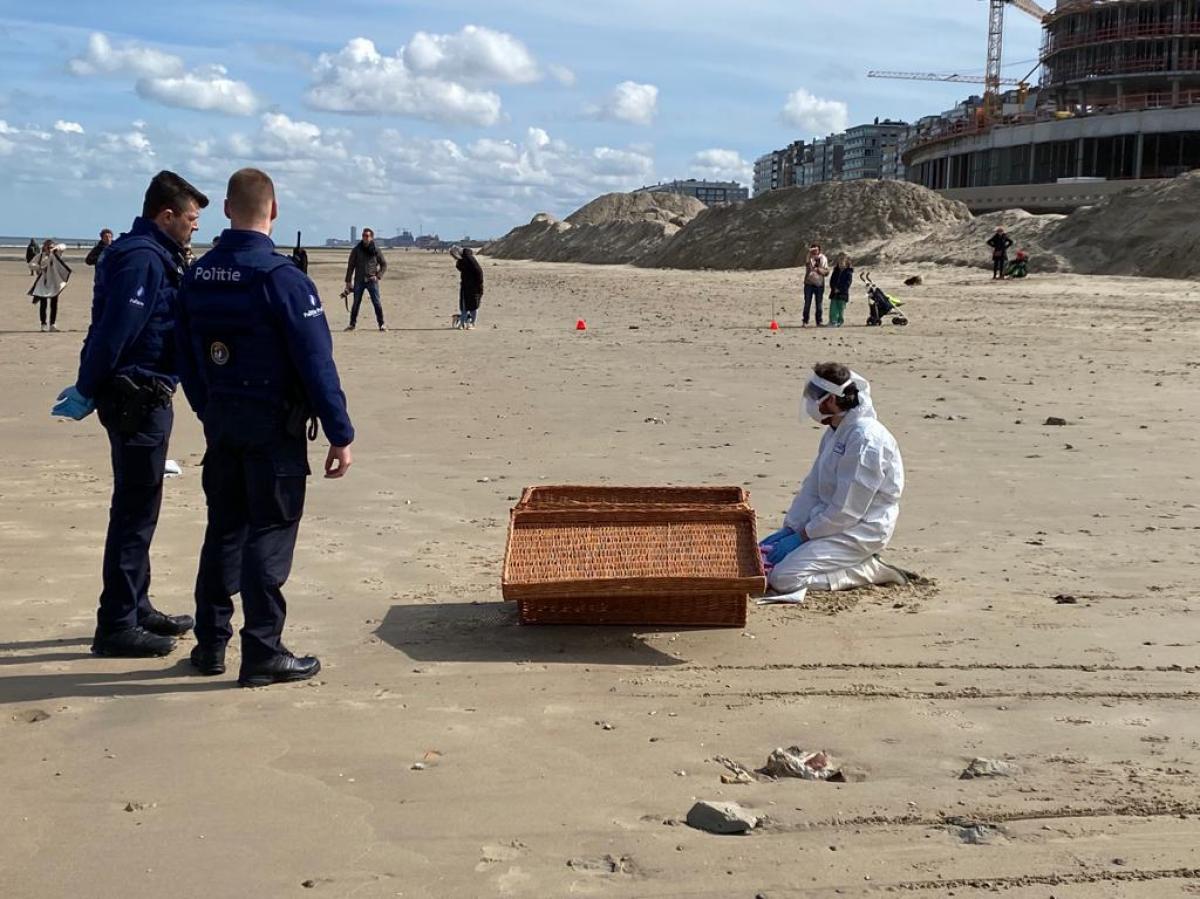 Bart redde het leven van een zeehond.