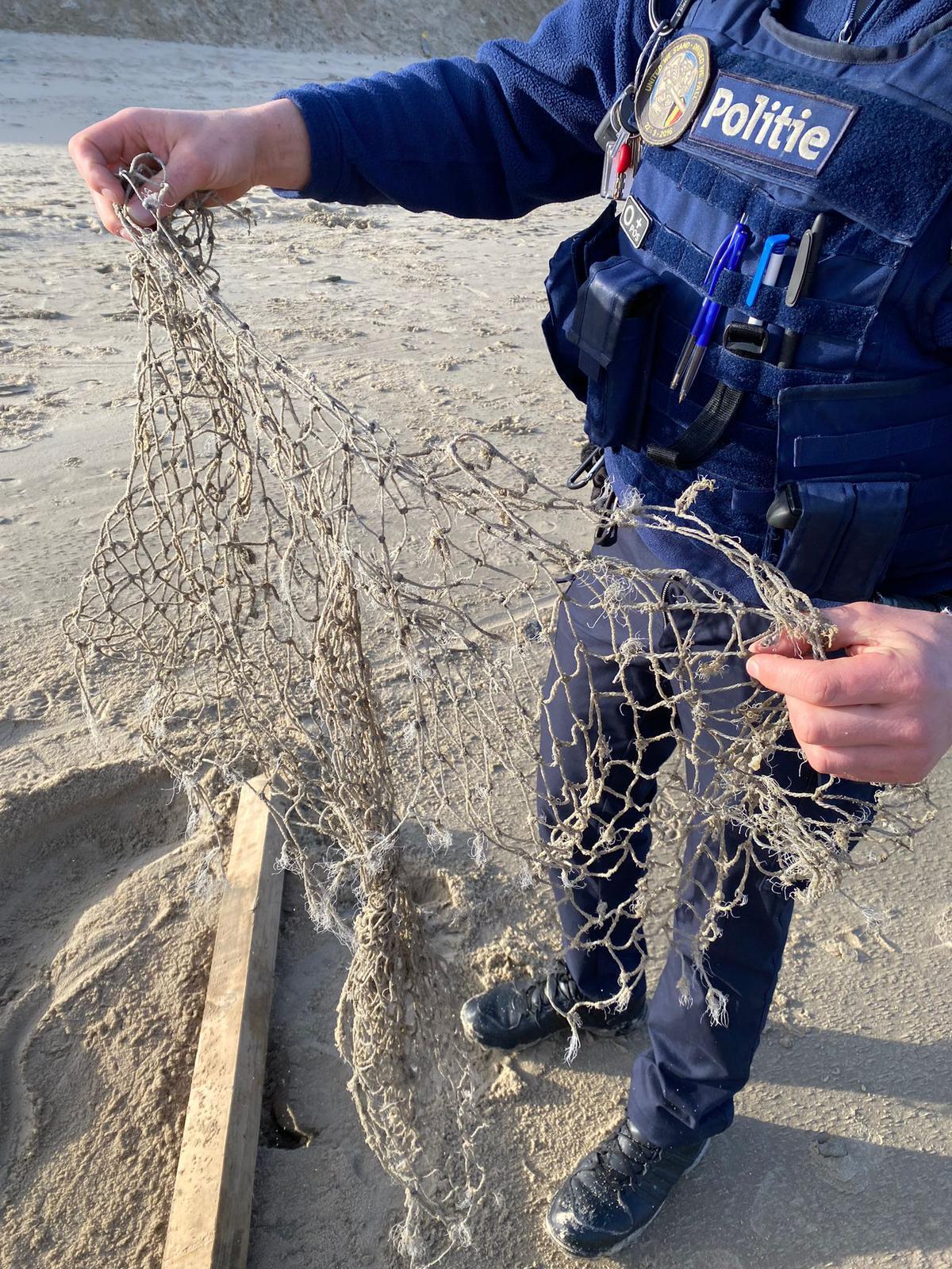 De zeehond raakte verstrikt in een net.