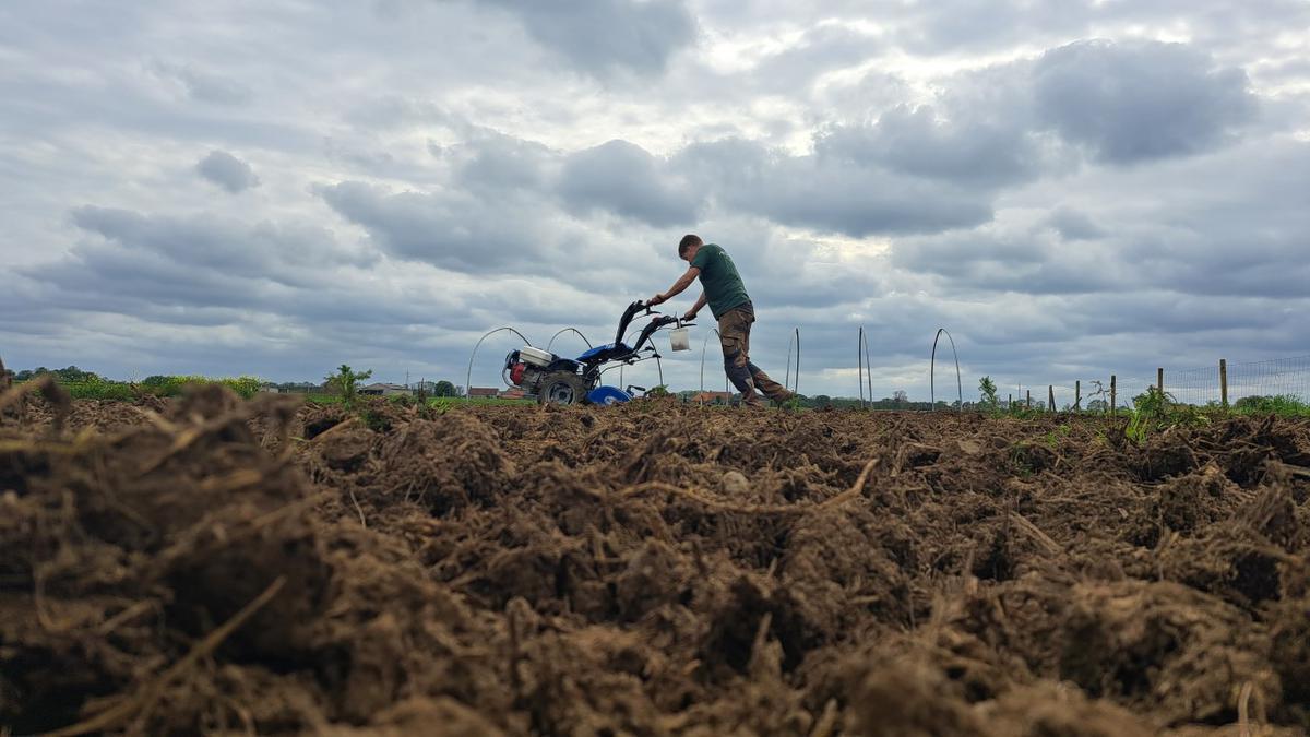 Zaakvoerder Bart Mostaert zal samen met zijn ouders op een voormalig perceel akkerland van hun vroegere boerderij de Goestuin opbouwen.