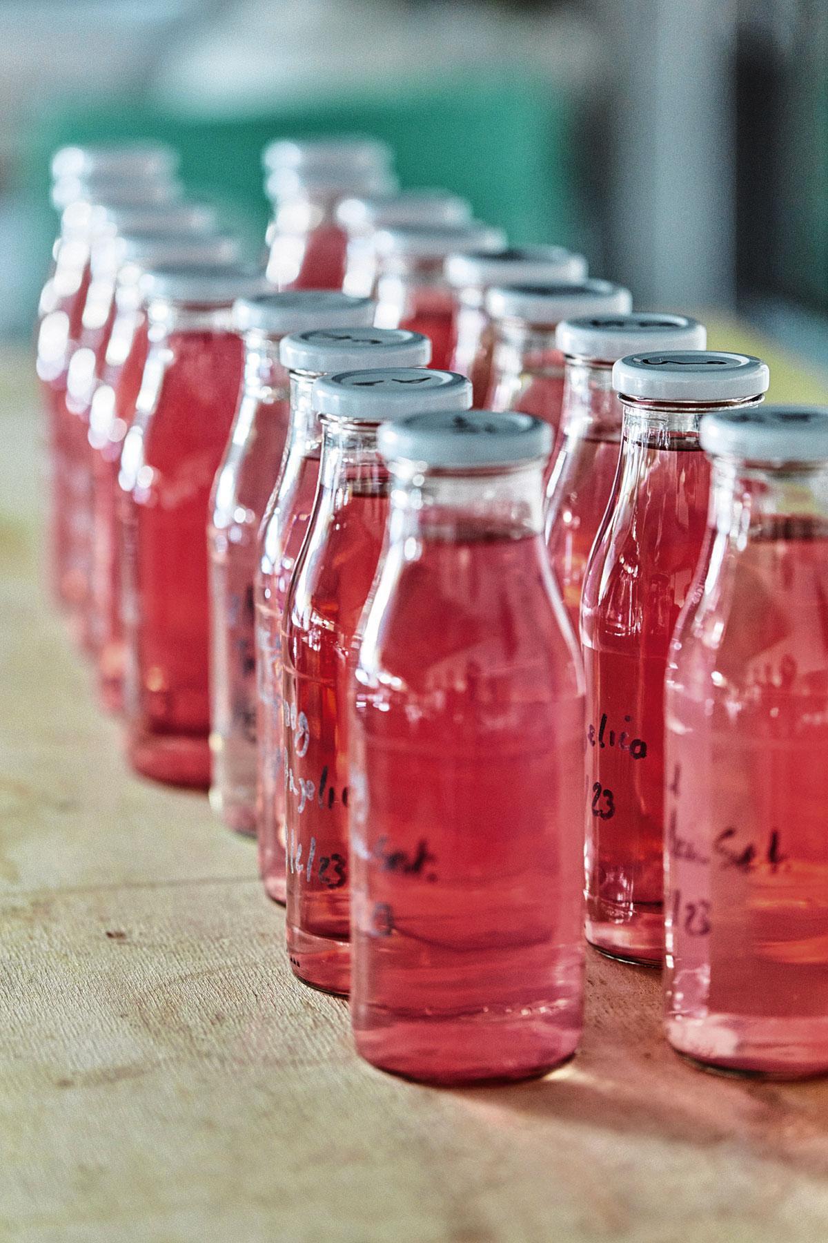 Prototypes van smaken voor een alcoholvrij aperitief.