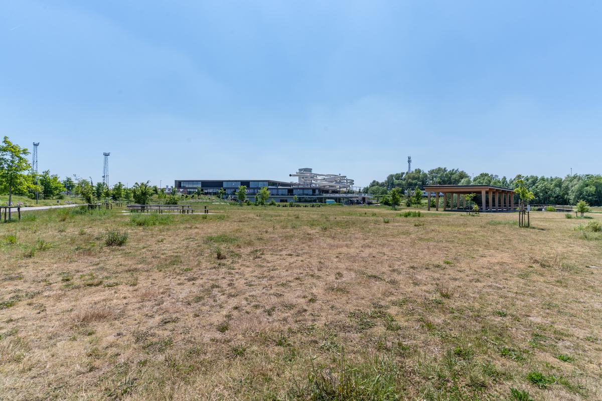 Het groene gras aan Kortrijk Weide is al sterk uitgedroogd.