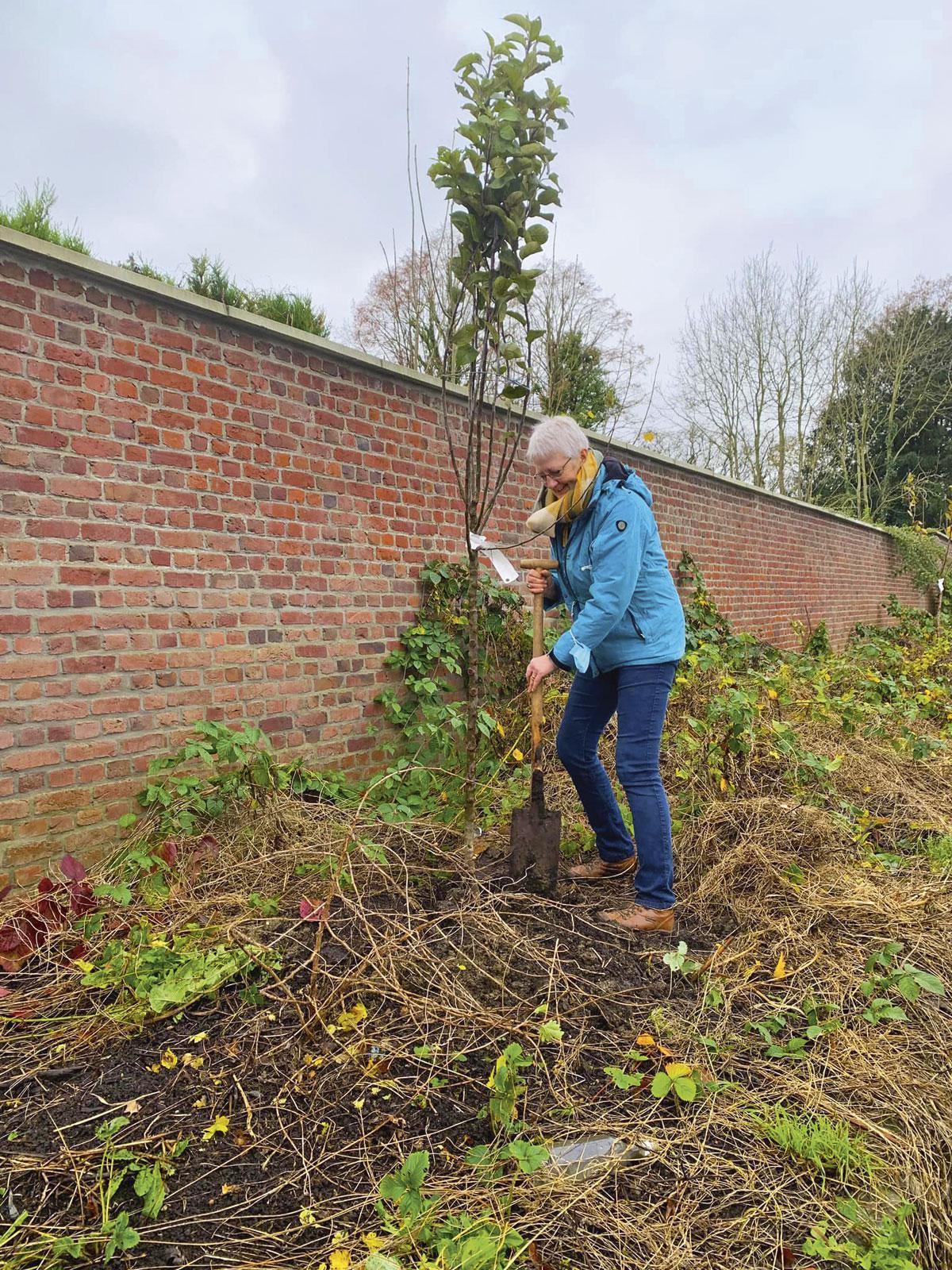 A Tournai, le terrain rempli de ronces et de gravats a aujourd’hui fait place à un jardin en libre accès.