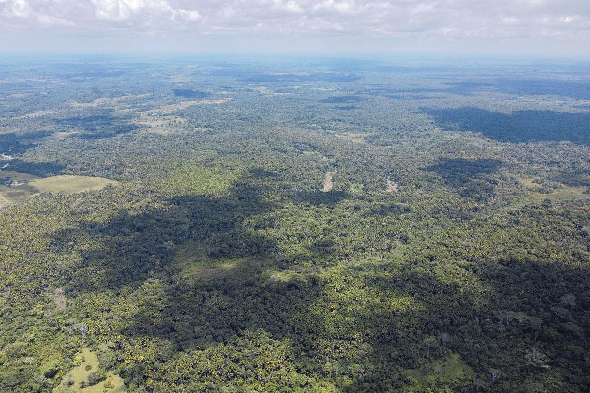 Araracuara, d’où venait la famille des enfants, se situe au cœur de la forêt amazonienne.