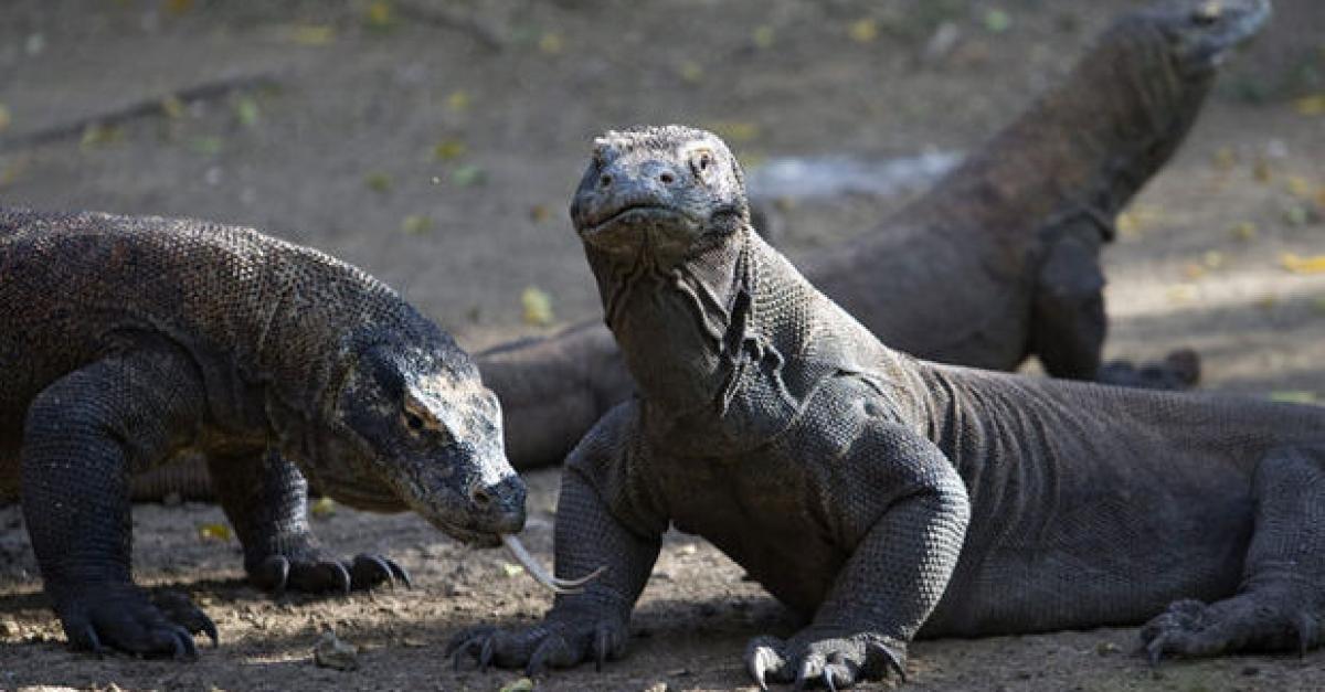 Geographic coordinate system visual data 7