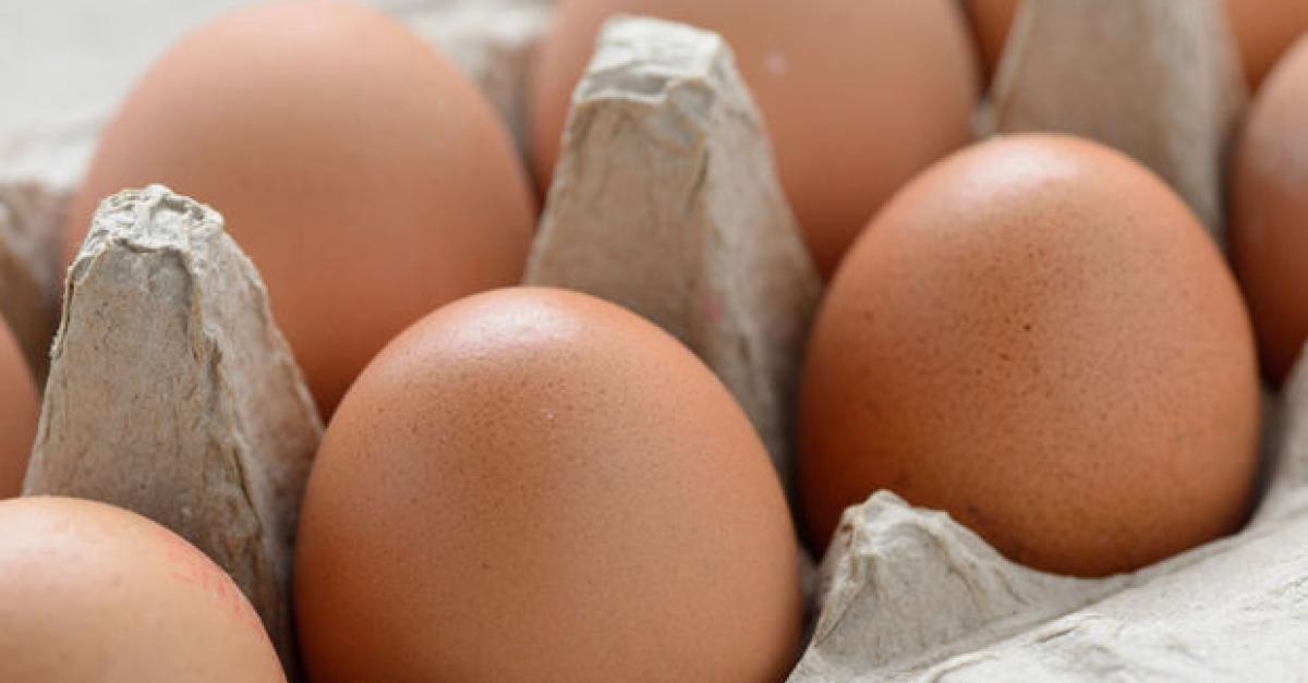 La Crise Des Oeufs Contaminés Sétend à La France Et Au Royaume Uni 