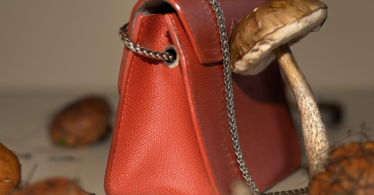 zondaar Tips Premisse VUB voert onderzoek naar zelfhelende tassen en schoenen gemaakt van  schimmelleer