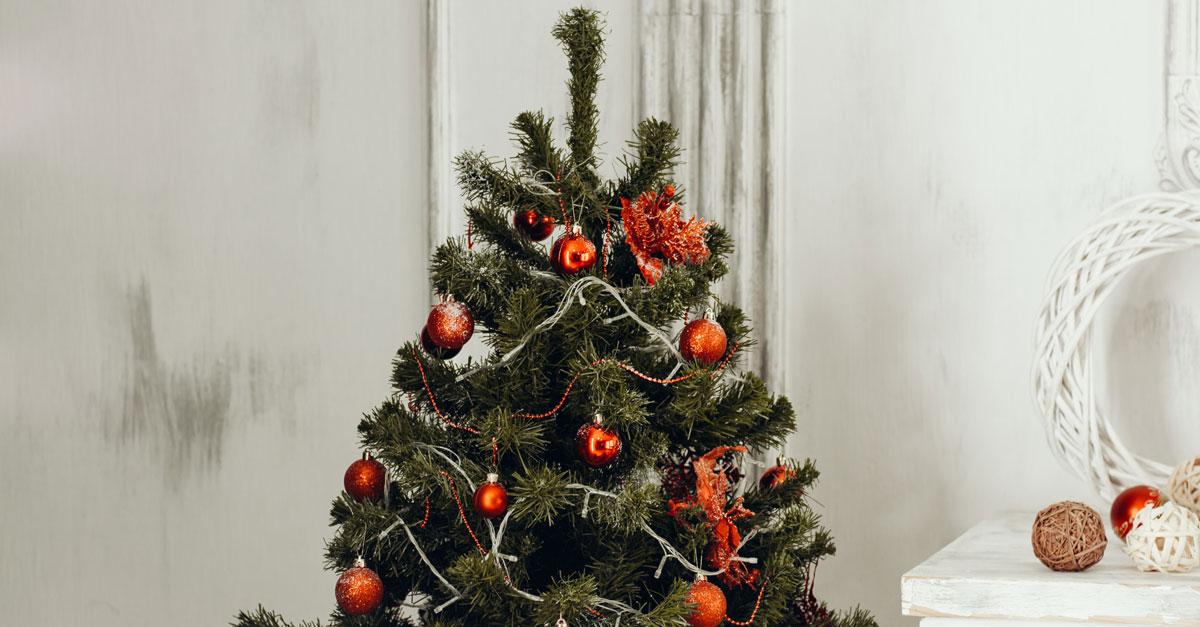 rek Wees Krijger AHA: dit is het beste moment om je kerstboom te kopen