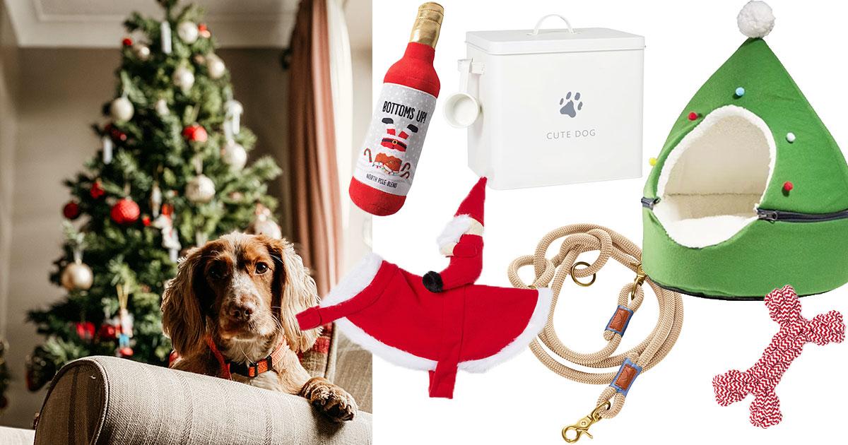 23 kerstcadeau voor je hond (en stiekem ook voor