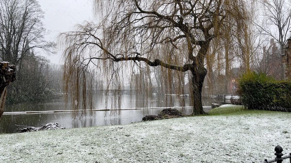 Het Minnewater in Brugge.© JVM