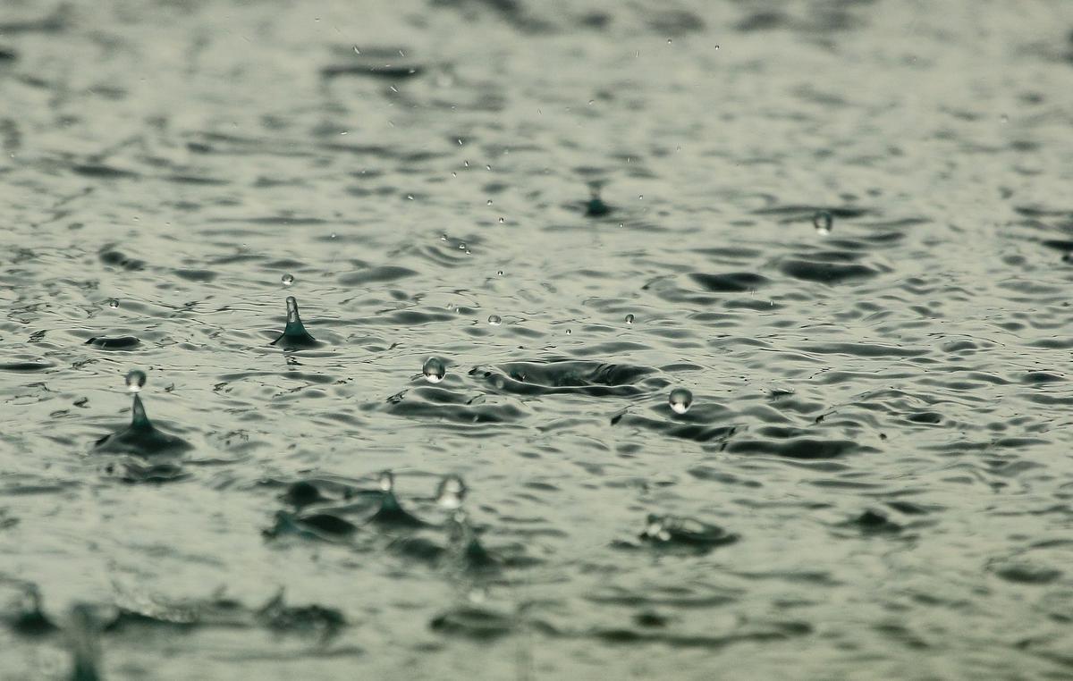 Provincie Plant Aanleg Nieuw Gecontroleerd Overstromingsgebied Langs ...