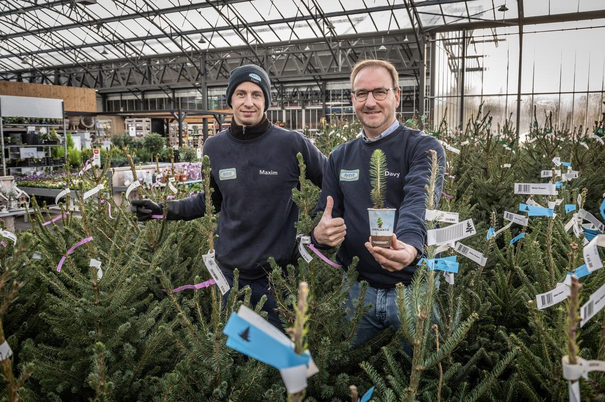 Aveve Roeselare Schenkt Gratis Babykerstboom Weg Aan Wie Volwassen ...